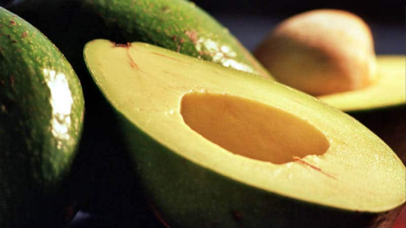 Guacamole Guacamole