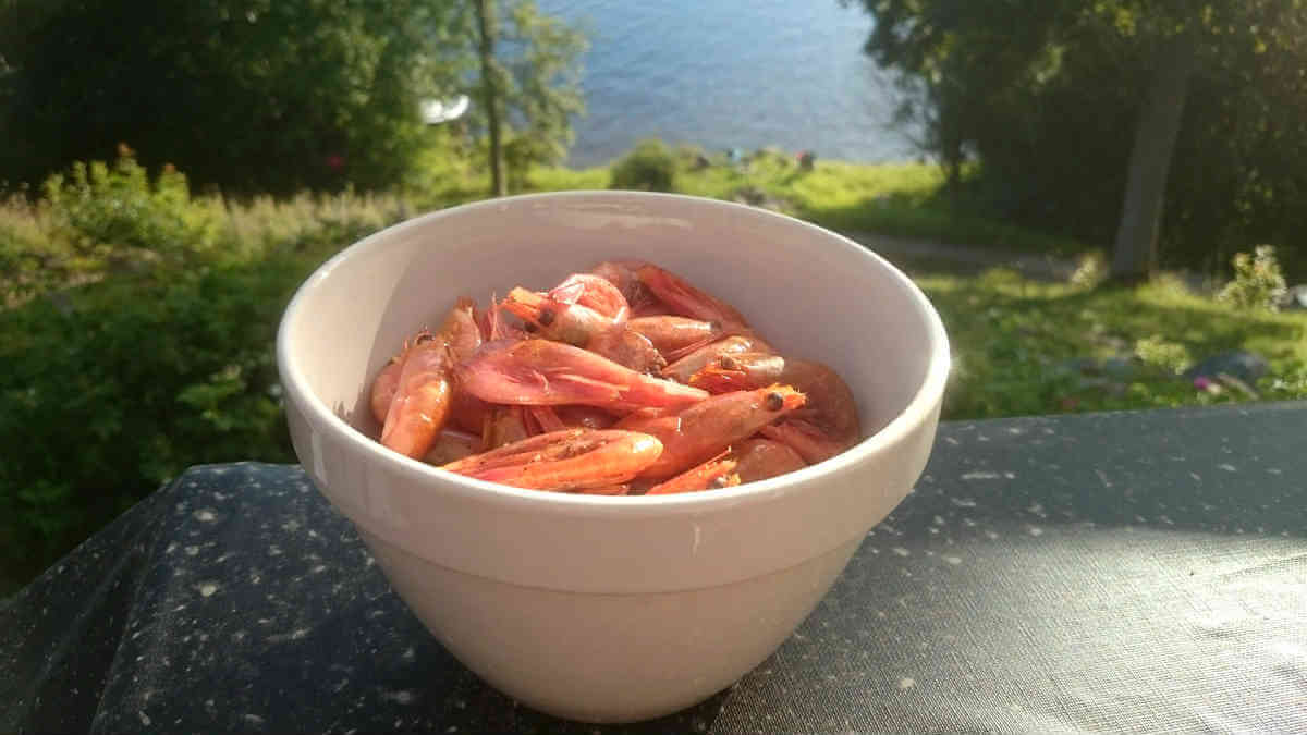Rökta räkor Rökta räkor
