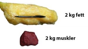 Våga göra slut med vågen! 4 fett-vs-muskler-1