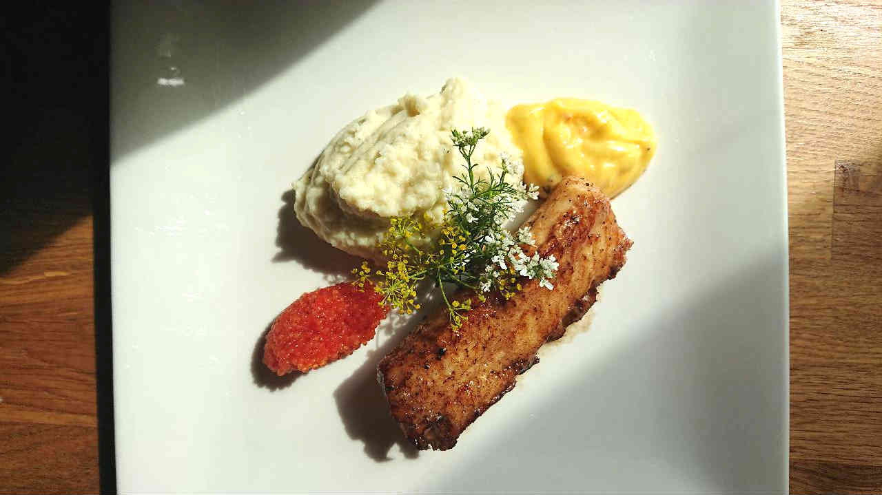 Torskrygg med blomkålspuré och saffransaioli Torskrygg med blomkålspuré och saffransaioli