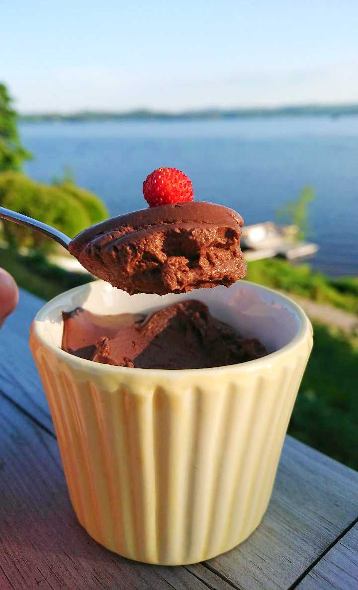 Nyttig mejerifri chokladpudding Nyttig mejerifri chokladpudding