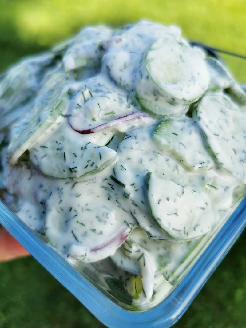 Krämig gurksallad med dill Krämig gurksallad med dill
