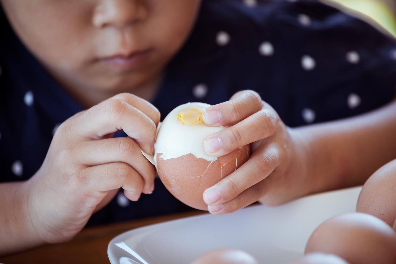 Koka ägg - Den ultimata guiden för perfekt kokta ägg 16 Koka ägg - Den ultimata guiden för perfekt kokta ägg | LCHF-arkivet