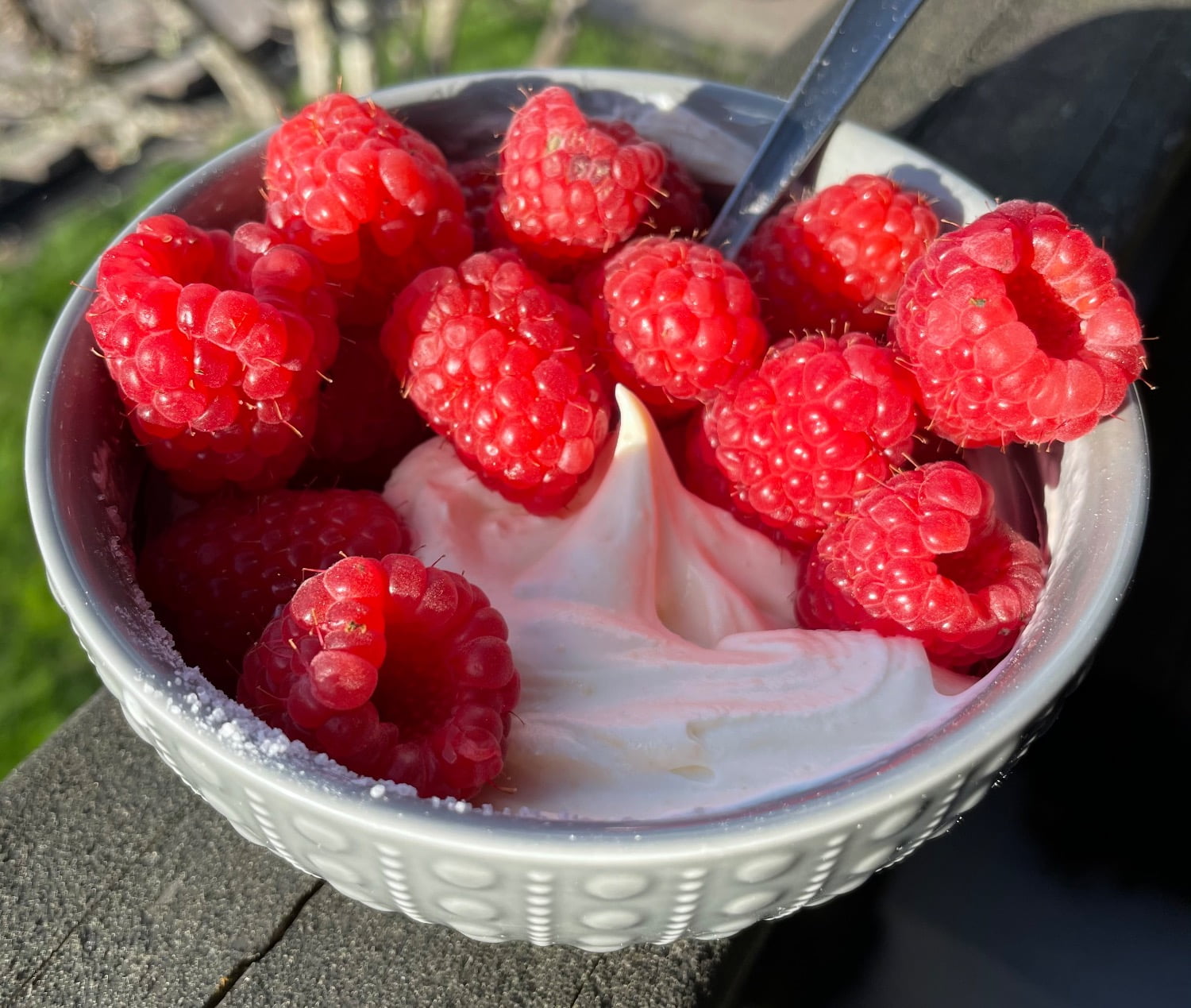Snabbcheesecake med färska hallon Snabbcheesecake med färska hallon